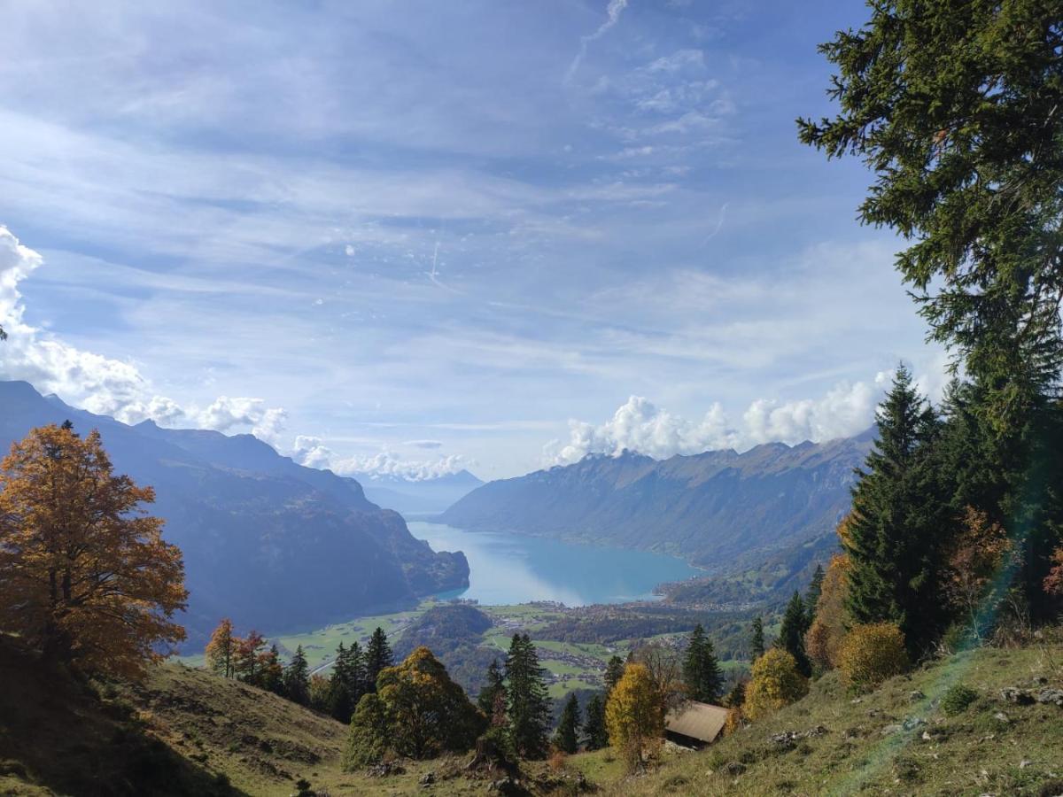 Naturfreundehaus Brünig *