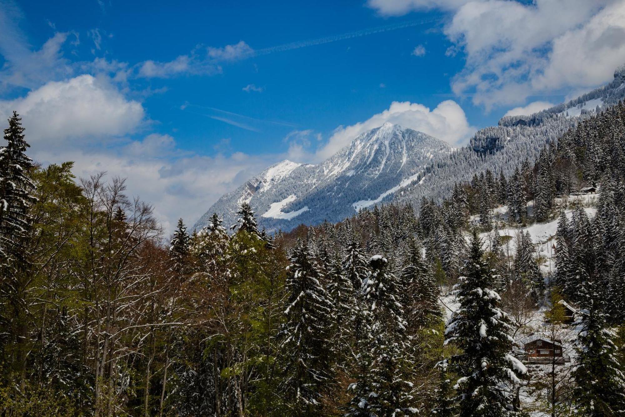 Naturfreundehaus Brünig * Lungern
